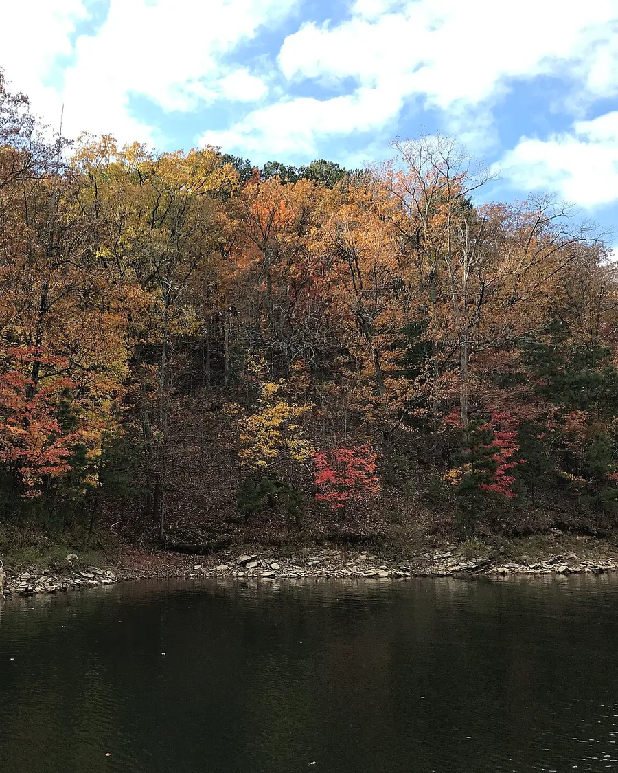 Autumn colour along the wooded shoreline of Carters Lake, with calm water in the foreground