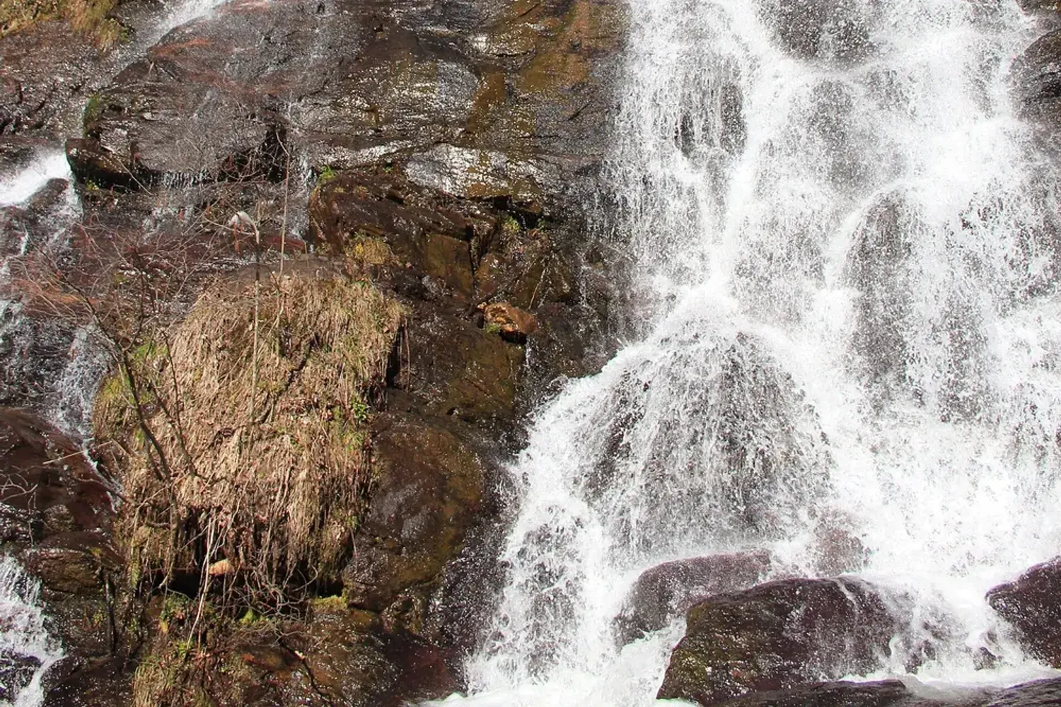 Water spreading down the broad, stepped rock face of Amicalola Falls in north Georgia